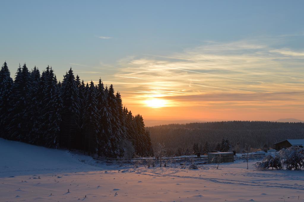 Hotel Auerhahn Masserberg Luaran gambar